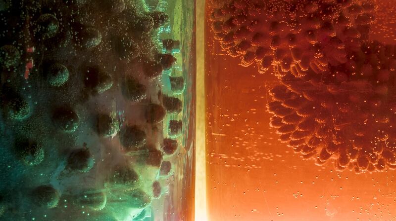 Mark Dion, Sea Life (Detail), 2011. Wooden furniture, plastic objects and jars. Courtesy of  the artist and In Situ, Fabienne Leclerc, Paris. Photograph: Rory Conaty