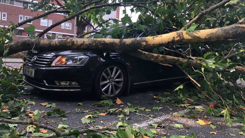 A fallen tree on a car at Cuff Street, Dublin during Storm Ali. Photograph: Daithí Walsh
