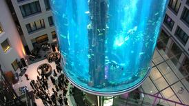 Three hotels with cool lobbies