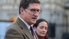 Time to prepare for ‘brace yourself’ Brexit, Green leader says