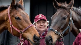 Bumper 24-strong cross-channel entry for Irish Grand National