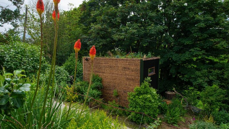 Side view of the passive home built by Áine Duffy, near Bandon, Co Cork. Photograph: Michael Mac Sweeney/Provision