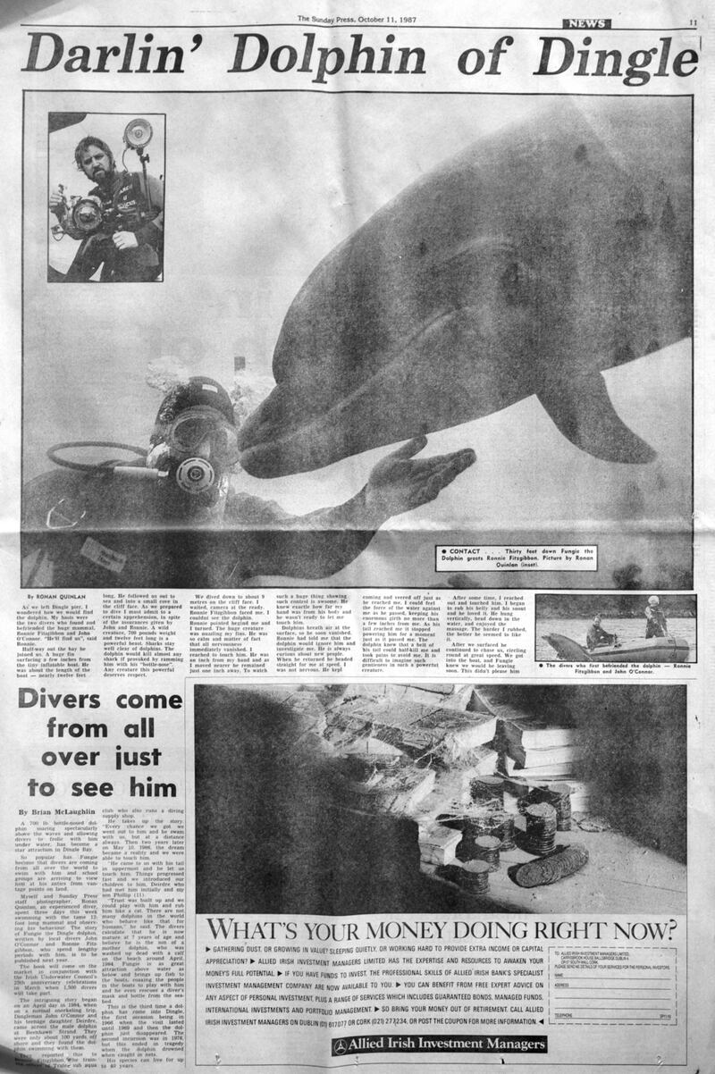 Sunday Press Story about Fungie in 1987. Photograph: Ronan Quinlan