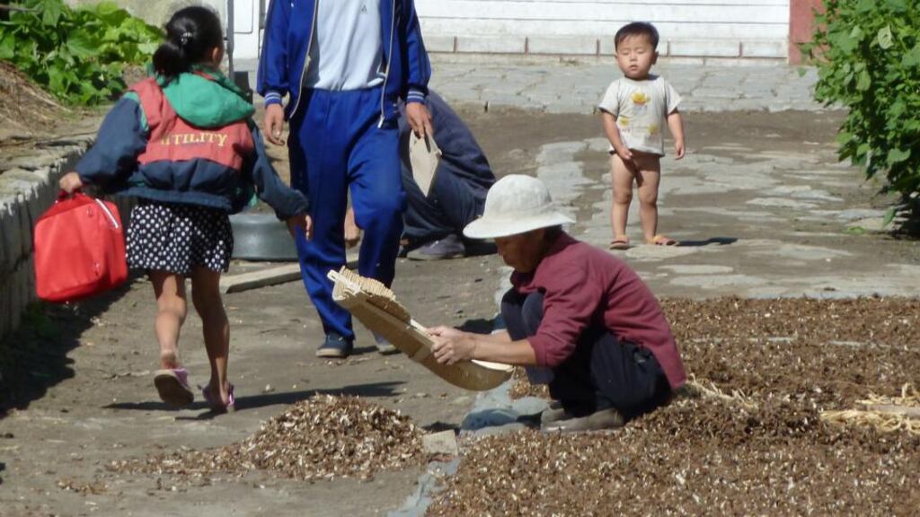 Drying crops at a collective farm about 20 kilometres from the center of Pyongyang, North Korea