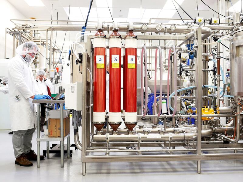 Impossible Foods: a company lab makes heme for its plant-based burgers. Photograph: Beck Diefenbach/Reuters