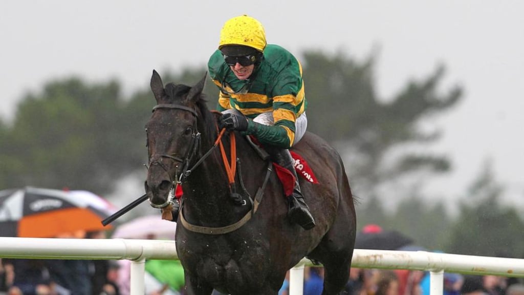 Mark Walsh on Bob Lingo who will defend his Galway Plater crown at the festival at Ballybrit next week in Galway. Photo: Lorraine O’Sullivan/Inpho