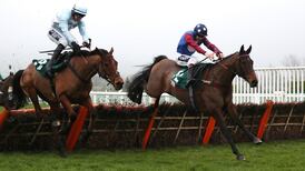 Paisley Park extends unbeaten record in fine style at Cheltenham