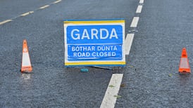 Man (20s) killed in two-vehicle collision in Co Limerick