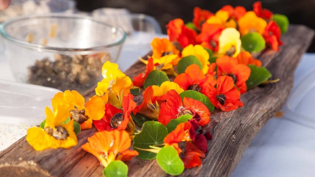 Bumblebee Farm’s collaboration with chef Eddie Attwell has been a match made in heaven. Photograph: John Daly/Inspire Group