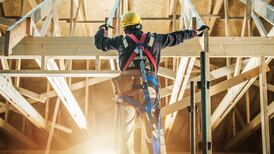 Government delays next housing plan to seek updated population projections