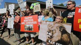 White House to review ‘Cecil’ killer extradition petition