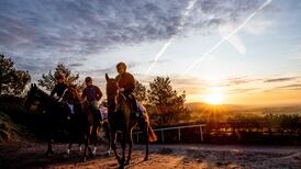 Joseph O’Brien not planning to give brother Donnacha too much of a leg-up