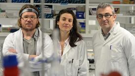 A ‘traffic jam’ that puts the brakes on protein production