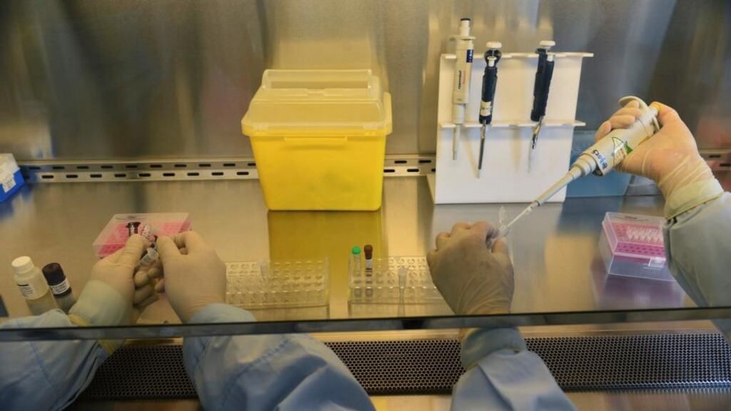 A vendor puts chickens into a plastic bag at a poultry market in Hefei, Anhui province, today. Chinese authorities reported four new cases  of a strain of bird flu previously unknown in humans that has already killed two people. Photograph: Reuters