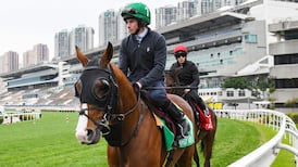 Anthony Van Dyck first Derby winner to contest Longines Hong Kong Vase