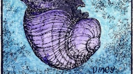 How did Spanish ‘strawberry trees’ make their way to Lough Gill?