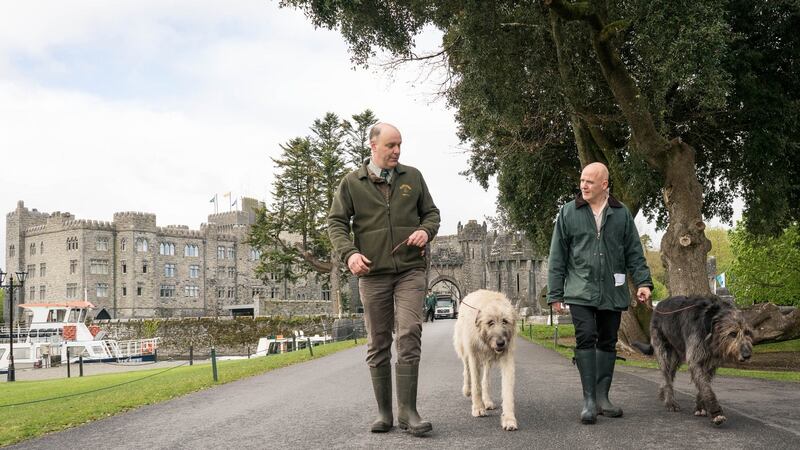 Conor Pope, right, with James Knight and his Irish wolfhounds Cronan and Garvan. Photograph: Keith Heneghan/Phocus