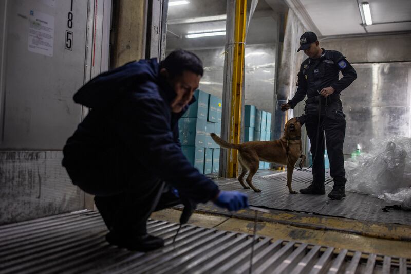Police officers inspecting boxes of shrimp for export suspected of containing cocaine in the port of Guayaquil, Ecuador. Photograph: Victor Moriyama/The New York Times