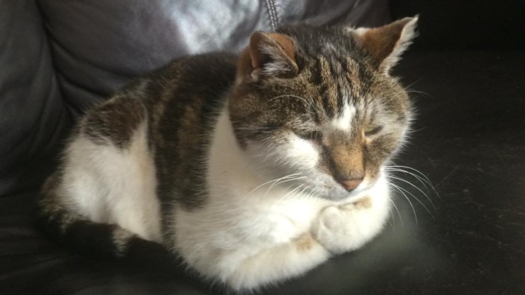 “The old fusspot absolutely refuses to drink tap-water”