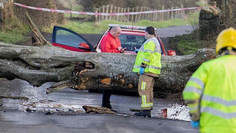 A large stree strikes a car on the Lislaban Road near Cloughmills, Co Antrim. Photograph: Steven McAuley/McAuley Multimedia