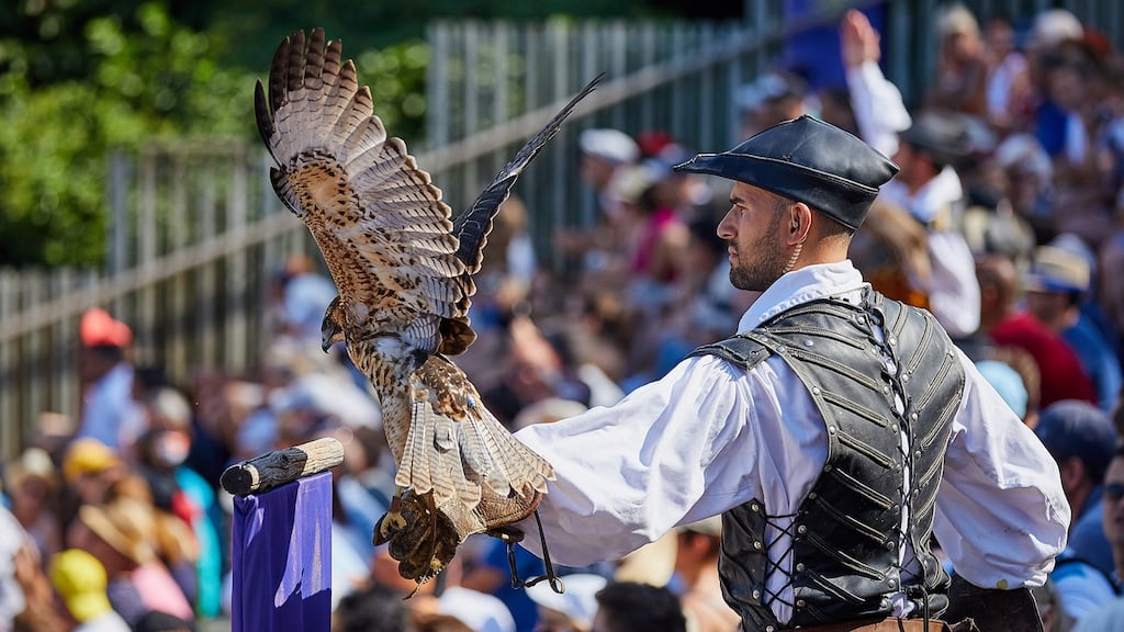 Medieval falconry display at Puy du Fou