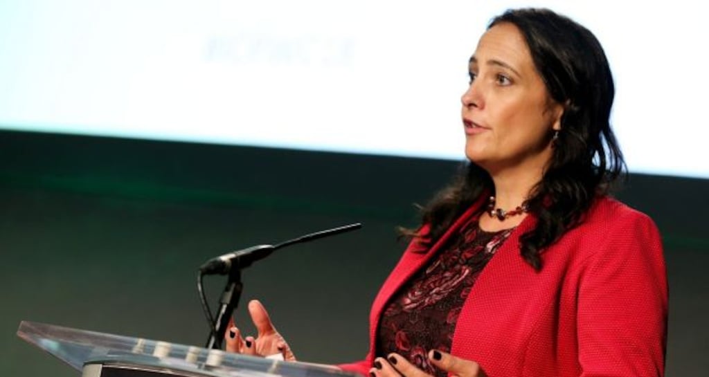 Green Party TD Catherine Martin: “You just don’t land a punch like that and then go away.”