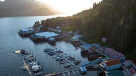 Homage to a Halibut Eye: Moth Nature Prize 2023 winner