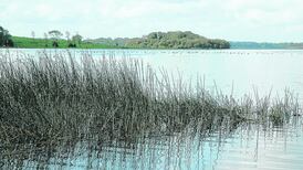Search under way for missing man at Lough Erne