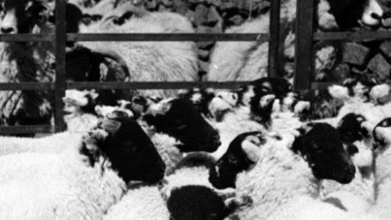 Girl Ray review: Teenage ambition in need of fine-tuning