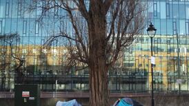 Over 350 international protection applicants homeless in Ireland - report