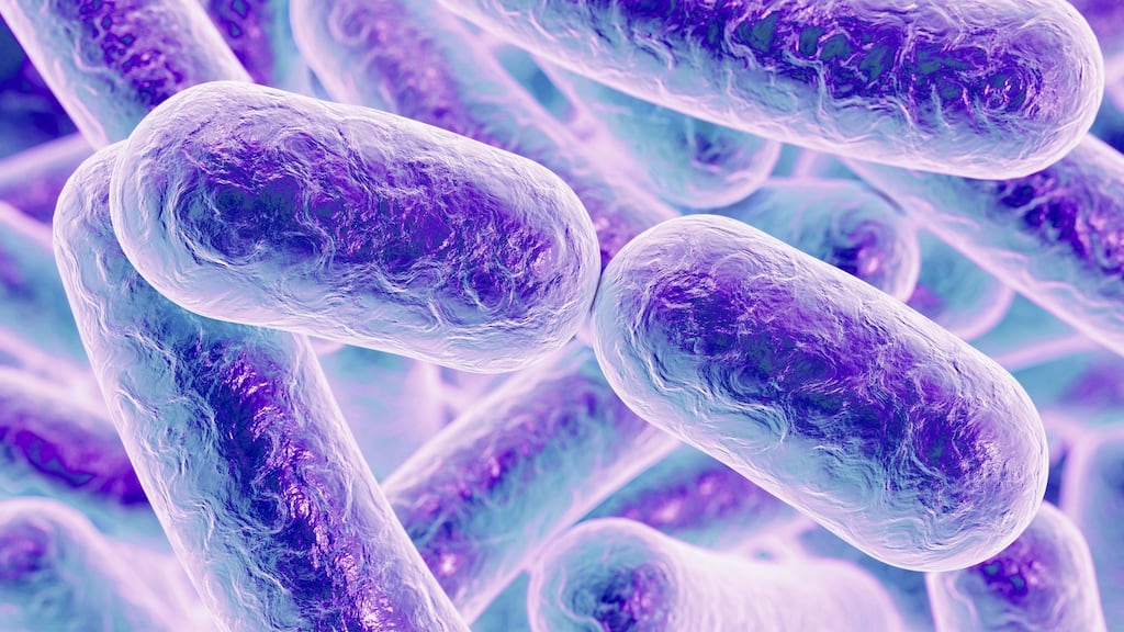 In 1952 Archbishop John D’Alton of Armagh drew a correlation between people going to dances and the spread of TB. Photograph: iStock