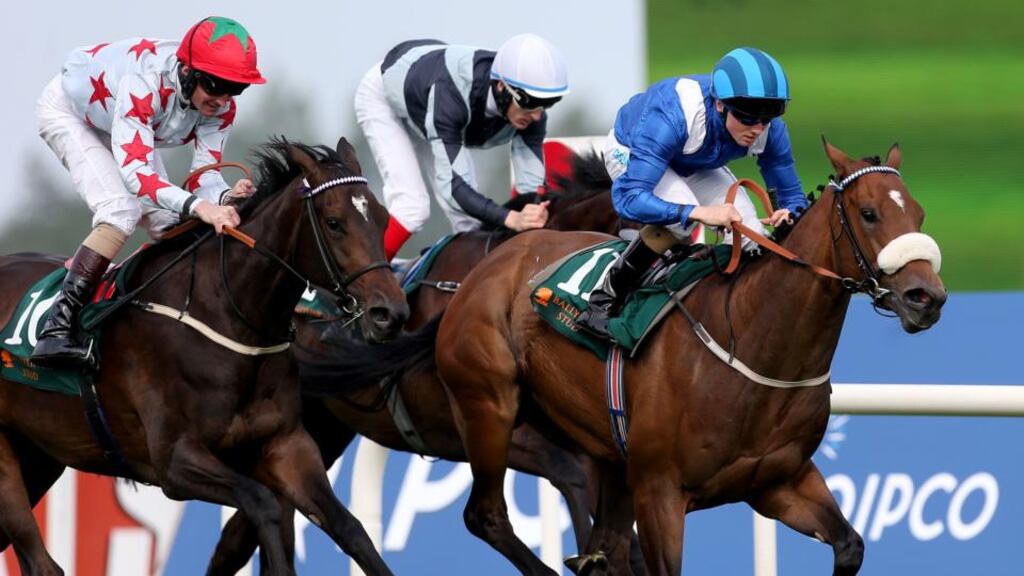 Tamadhor comes home to win the Ballylinch Stud European Breeders Fund Fillies Maiden with Chris Hayes aboard earlier in September. Photograph: Ryan Byrne/Inpho