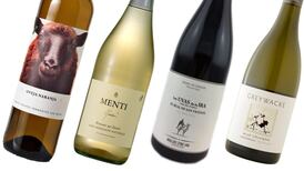 Coming to terms with wine