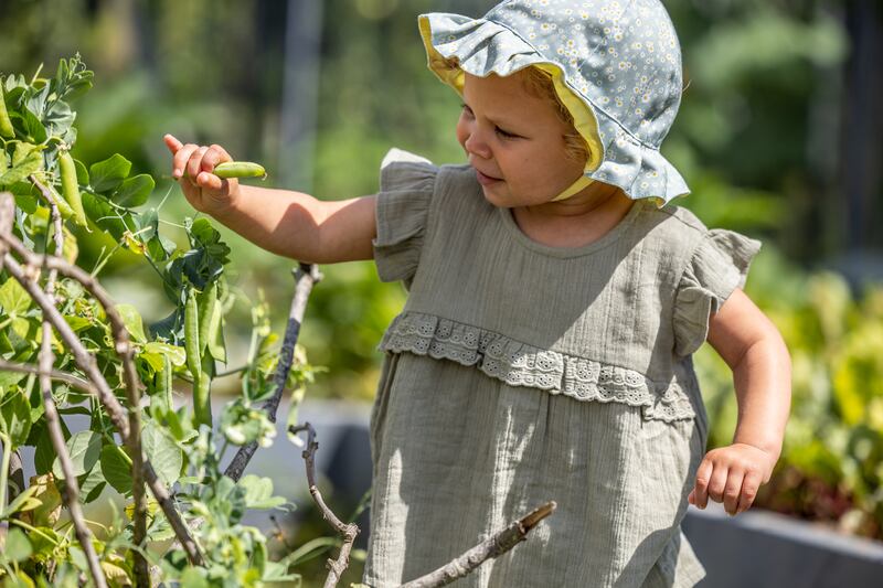 Homegrown veg displaces emissions that come through the conventional food chain, and inspires healthier, more sustainable diets.