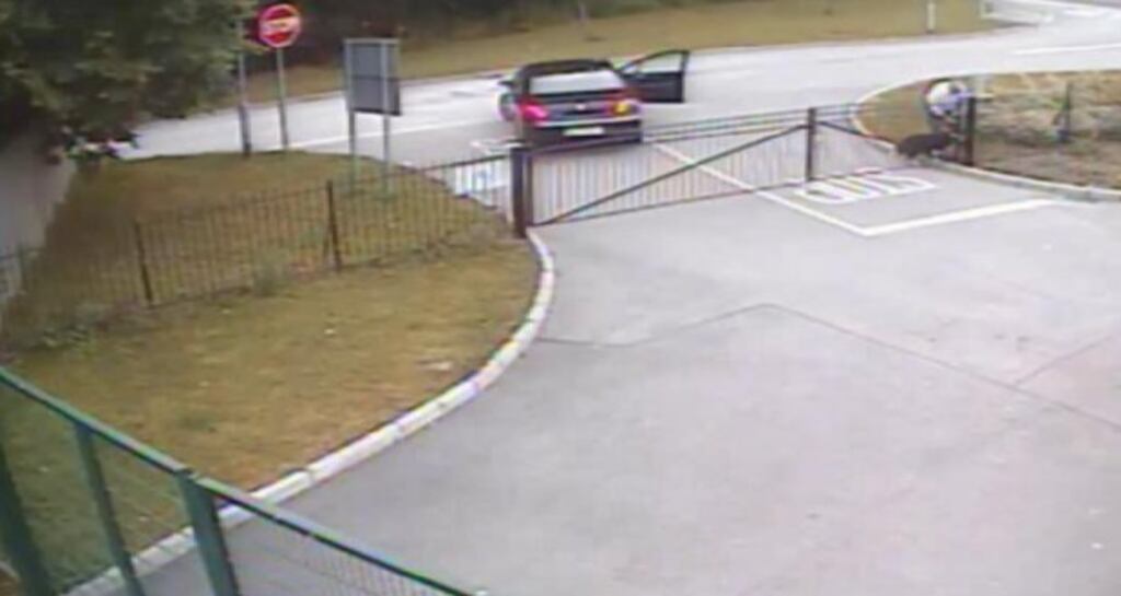 An image from CCTV footage released by Dogs Trust appears to show a man tying the elderly and severely neglected Collie to the gate of the centre in Finglas.