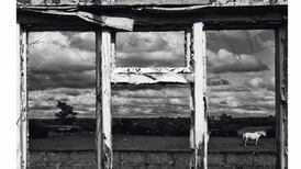 A Deep Well of Want. Visualising the World of John McGahern: a Leitrim love song