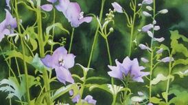 Watercolours in Dún Laoghaire