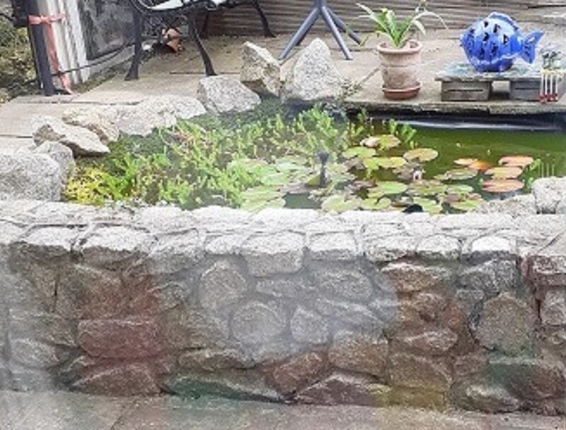 Garden pond. Photograph supplied by Catherine Tierney