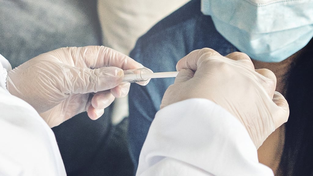 The National Virus Reference Laboratory was last year paid €11.95 million for its central role in the testing regime, HSE figures show. Photograph: iStock