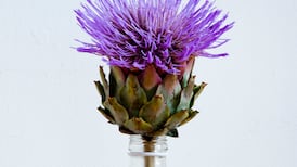 ‘Art can bring comfort, meaning and perspective to the journey of illness and recovery’