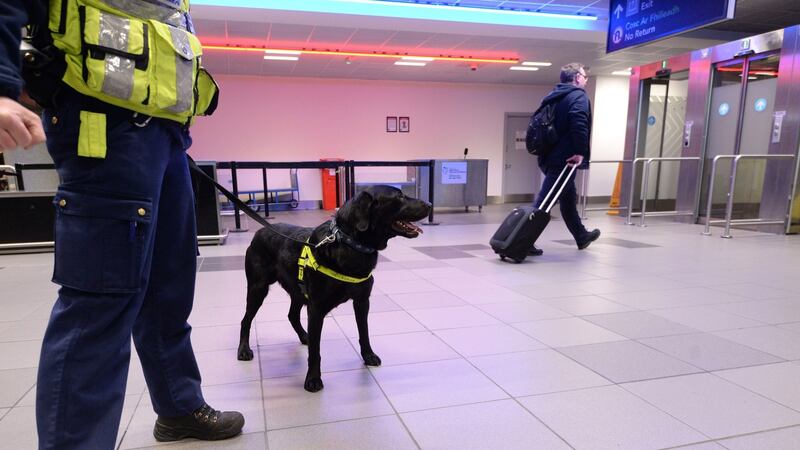 Dog handler Nicola with Scooby at Dublin Airport. Photograph: Dara Mac Dónaill / The Irish Times