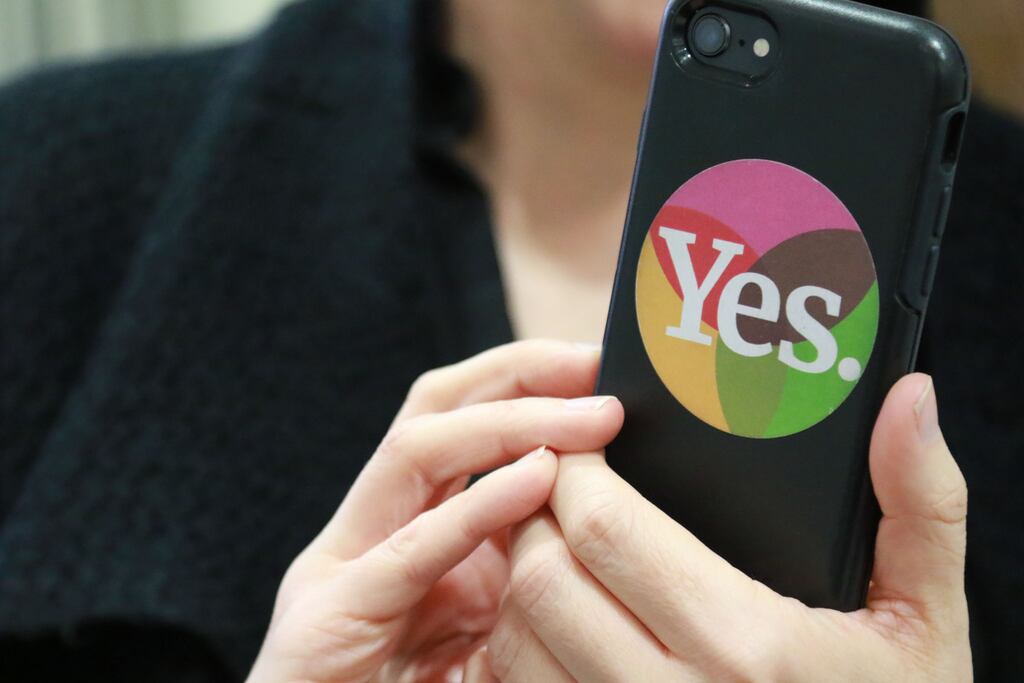 The 2018 legislation only allows for abortion in cases where two medical practitioners form a reasonable opinion the foetus will likely die before or within 28 days of birth. Photograph Nick Bradshaw