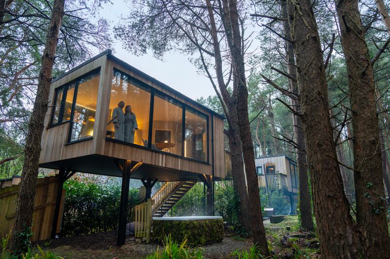 Guests can escape to enchanting treetop lodges with panoramic floor-to-ceiling windows and balconies offering captivating forest views at Burrenmore Nest Lodges