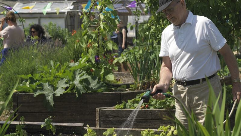Dermot Byrne waters salad crops growing in one of the many raised beds in Mud Island Community Garden in Dublin
