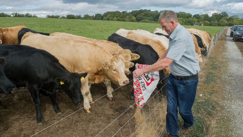 Farmer John Coughlan pictured on his farm in Buttevant, Co. Cork. He needs 550 kgs of meal (over half a tonne) extra per day since mid-June to feed his animals due the grass shortage.Pic Daragh Mc Sweeney/Provision