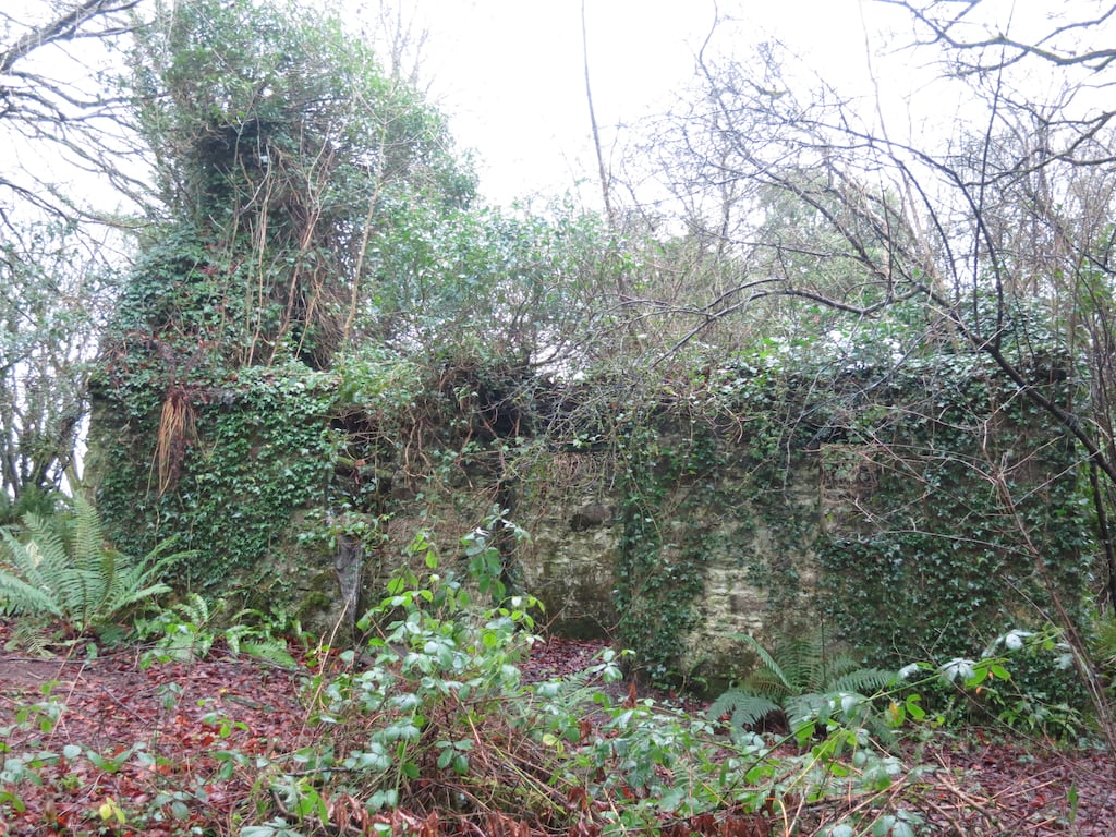 The ruins of Biddy Early’s cottage in Kilbarron, Co Clare