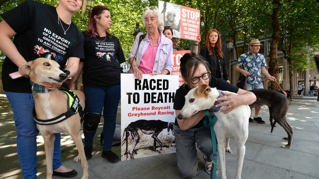 Independent TD Maureen O’Sullivan at a protest outside the Department of Agriculture against the alleged exploitation of greyhounds. File photograph: Cyril Byrne/The Irish Times.