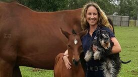 Irish vet fails oral English test for Australian visa