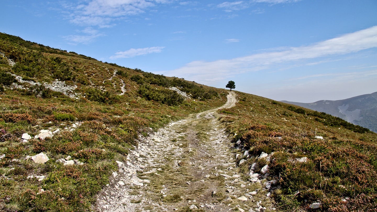 The Puerto del Palo in Asturias, part of the Camino Primitivo, or Original Way