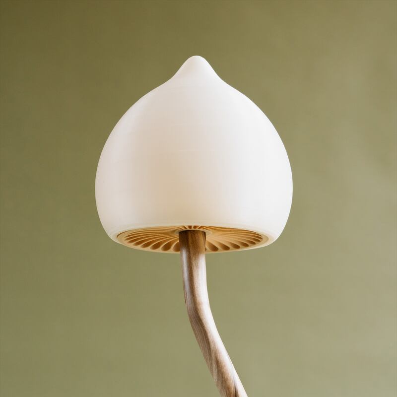 Magic Lamp by Daragh Enright. Detail gills, 3d printed.